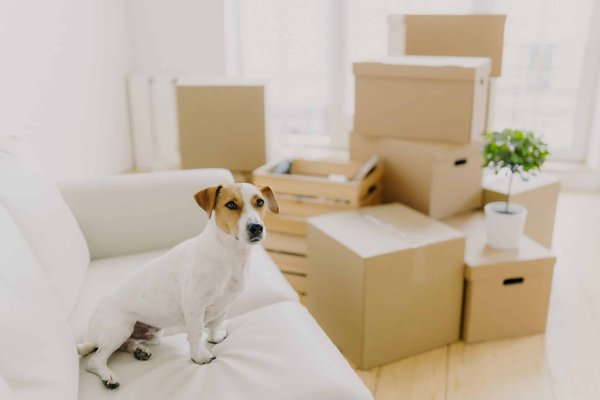 Quelle est la meilleure façon de porter des talons hauts confortablement toute la journée?